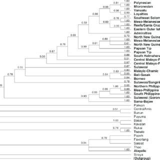 Image result for Austronesian Language Tree