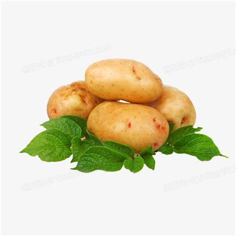 美食养生：土豆补中益气 10个窍门更营养_吉林微生活美食_吉林微生活