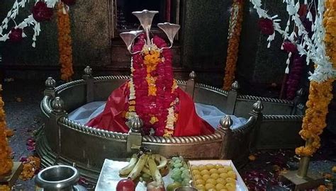 Pattiseema Is A Must-Visit Destination In Andhra Pradesh