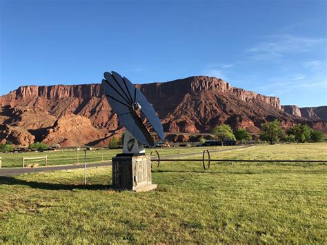 Solar Flower 的图像结果