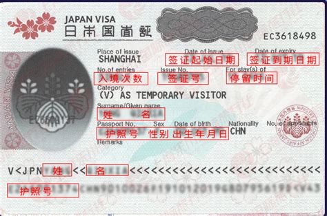 日本签证照片到底什么尺寸