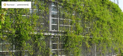 Greenscreen Architecture 的图像结果