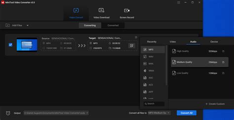 How to Use MiniTool Video Converter 的图像结果