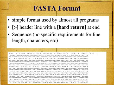 Fasta File 的图像结果