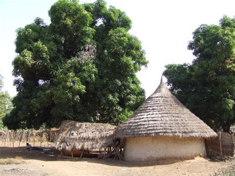 CAMPEMENT CHEZ DIAO (Kedougou) - Lodge Reviews & Photos - Tripadvisor