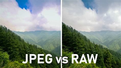 比JPG照片好的RAW格式是什么？RAW格式能直接预览吗？ - 奇点