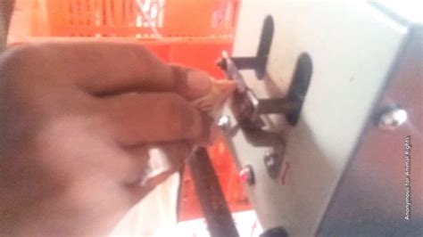 Chick Explodes 的图像结果