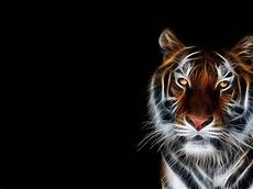 Digital Tiger Wallpaper by Digital Tiger Hd Desktop Wallpaper Widescreen High Digital Tiger Wallpaper