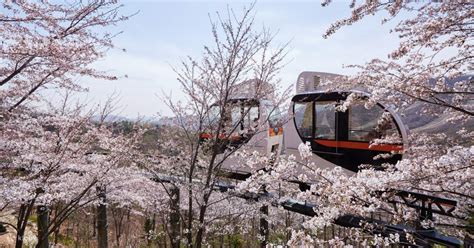 Hwadam Botanical Garden & Korean Folk Village One-day Nature & Cultural ...