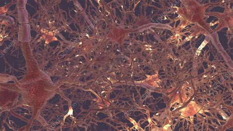 JavaScript Animation Neural Network 的图像结果