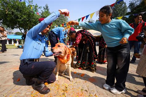 Kukur Tihar, festivalul câinilor din Nepal. Sărbătoarea e dedicată ...