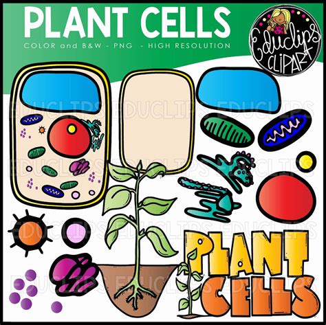 Clipart Of Cell