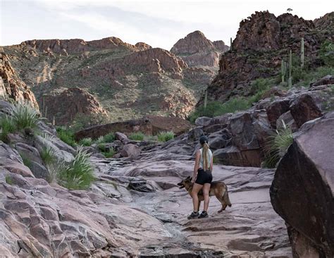 Hiking The Hieroglyphic Trail In The Superstition Mountains - Karabou