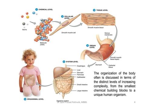 Example of System Structure 的图像结果