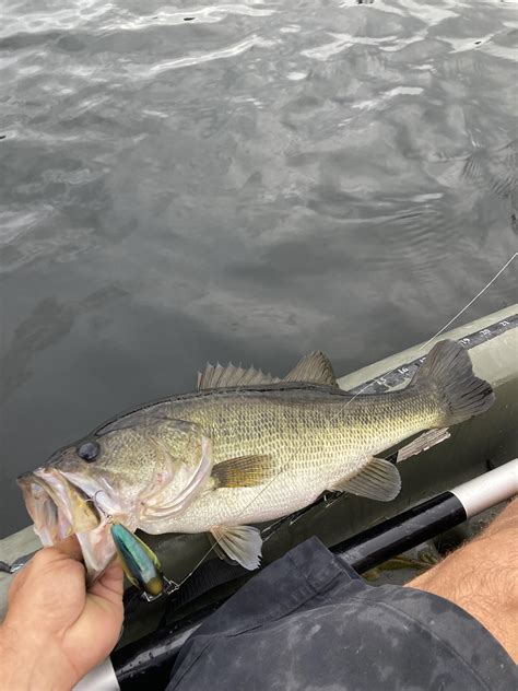 Twitchy Eye Boys : r/Propnight