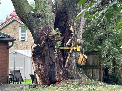 Storm damage in southwestern Ontario on July 24 – CP24