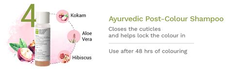 SESA 4 Step Natural Hair Colour Kit - For HIGH GREY% - 100% Organic ...