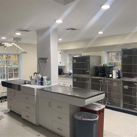 Hospital Gallery | Setauket Animal Hospital, GP Veterinarians in East ...