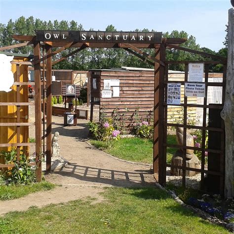 FRITTON OWL SANCTUARY (2025) All You Need to Know BEFORE You Go (with ...