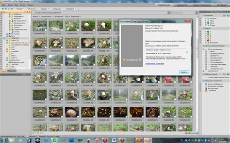 ACD Systems releases Photo Manager 2009: Digital Photography Review