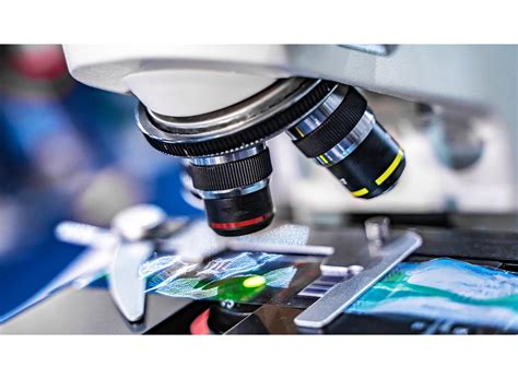 Lab Microscope 的图像结果