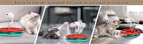 RvPaws 360° Motion Elastic Mouse Catch Cat Toy to Exercise and Inside ...