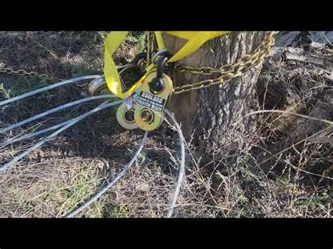 Image result for Using a Snatch Block for Felling a Tree