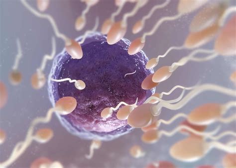 Image result for Simple Modifiers