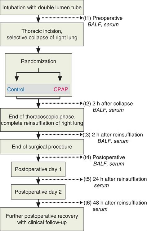 Image result for Randomization Sampling UK