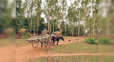 Bollywood movies that best capture the beauty of Indian villages ...