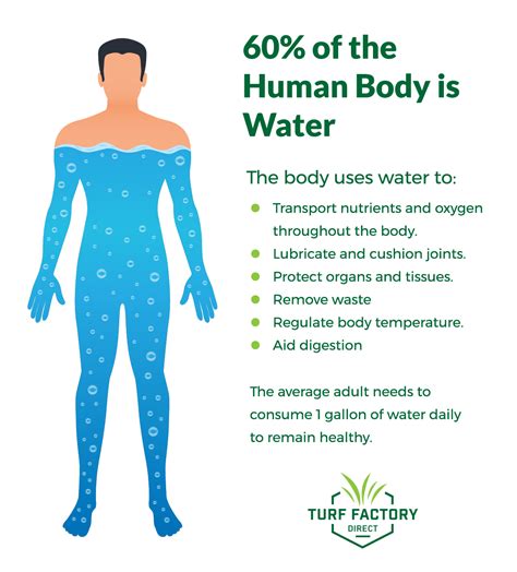 What Is Importance Of Water Management at Michael Hammons blog