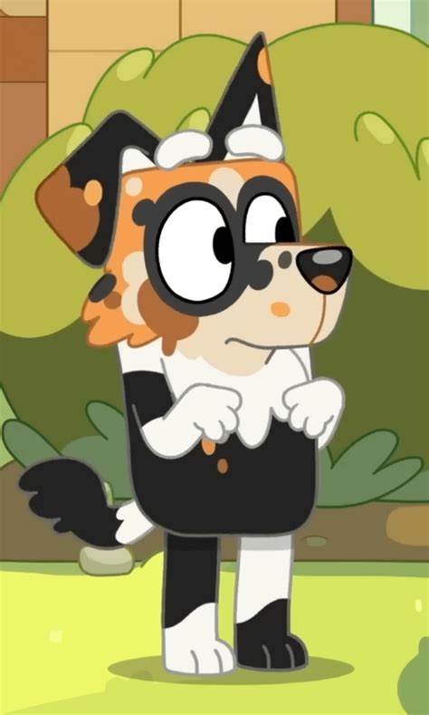 This image makes me think the Mackenzie is going to bark like an IRL ...