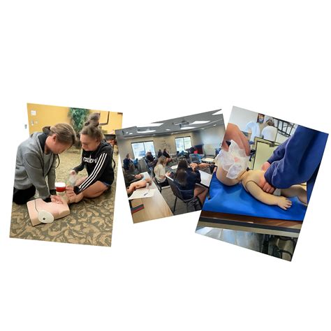 Zephyrhills CPR Classes & BLS | 150k+ Trained | In-Pulse