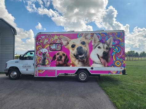 October First Friday | Kokomo Humane Society