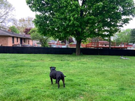 How to Install Privacy Fence Screening 的图像结果