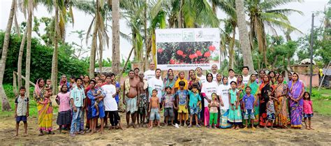 Tree Plantation | The Climate Project