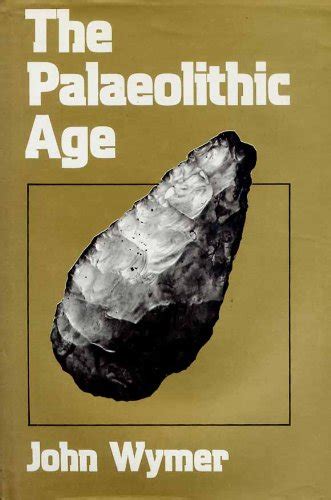 Palaeolithic Age : Wymer, John: Amazon.in: Books