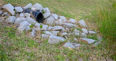 Point Source Pollution 的图像结果