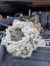Mouse nest found in a car engine compartment, a clear sign of how to know you have a mouse infestation.