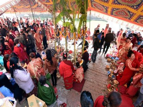 Ihi: Marriage between Girl and "wood apple"