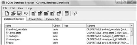 SQLite Database Browser 的图像结果