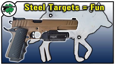 Image result for Steel Target Setups