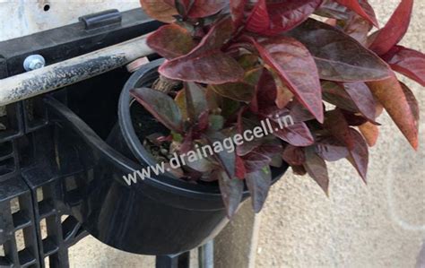 Drain cell - Vertical Garden Panels