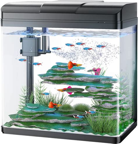 Buy PONDON 5 Gallon Fish Tank, Glass Aquarium with Air Pump, 2 LED ...