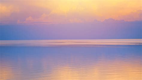 Navigating Harmony: Unpacking the Dalai Lama's Insight - VanWyck Consulting