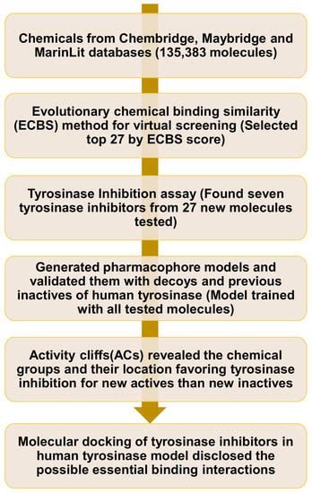 Identification of Tyrosinase Inhibitors and Their Structure-Activity ...