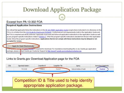 Program Application Sample PDF 的图像结果