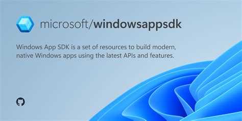 Image result for Window Software Development