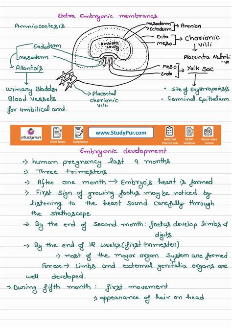 Image result for Isinamuva Human Reproduction Notes