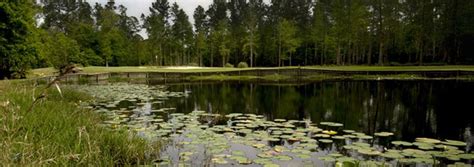 Enjoy No Fees At Windance Country Club - Gulfport MS | TeeOff